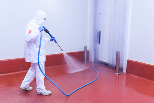 Best Restaurant Pressure Washing  in Summit Park, UT